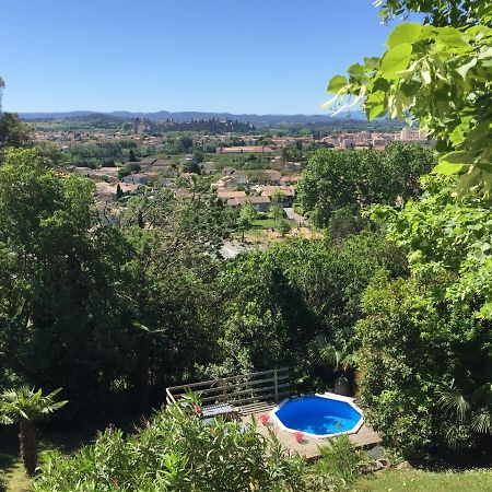 Chambre D'Hote Vue Imprenable Sur Cite - Villa Rose 卡尔卡松 外观 照片